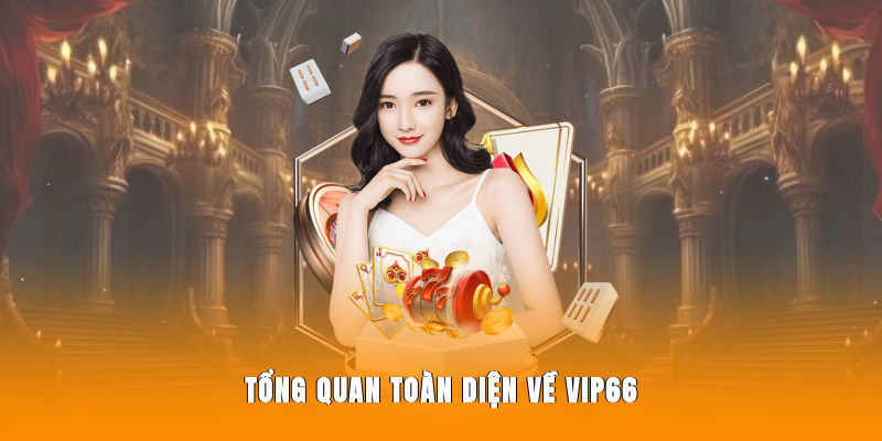 Tổng quan toàn diện về tổ chức Vip66